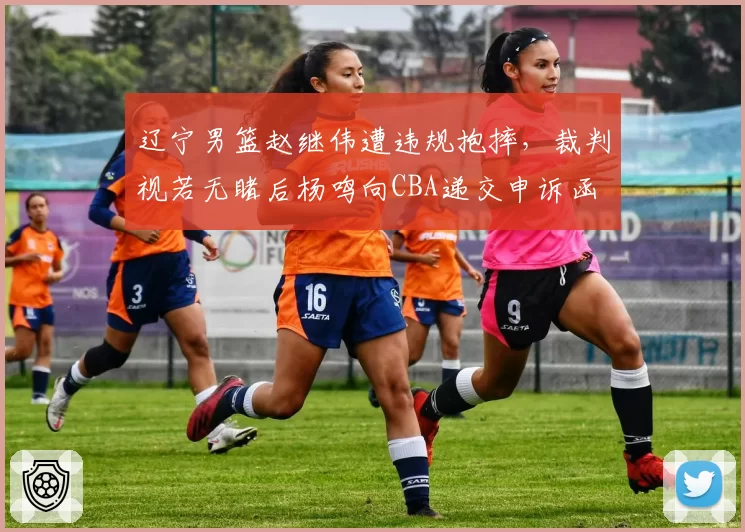 辽宁男篮赵继伟遭违规抱摔，裁判视若无睹后杨鸣向CBA递交申诉函