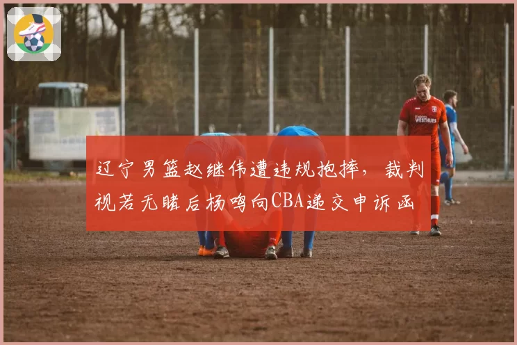辽宁男篮赵继伟遭违规抱摔,裁判视若无睹后杨鸣向CBA递交申诉函